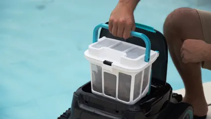 كازينو بتكوين بينغوين تطبيق الهاتف المحمول